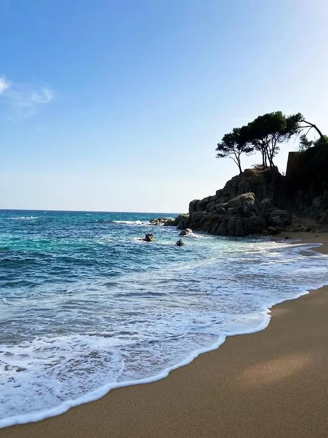 Bed and breakfast Villa Costera B&B Sant Antoni De Calonge